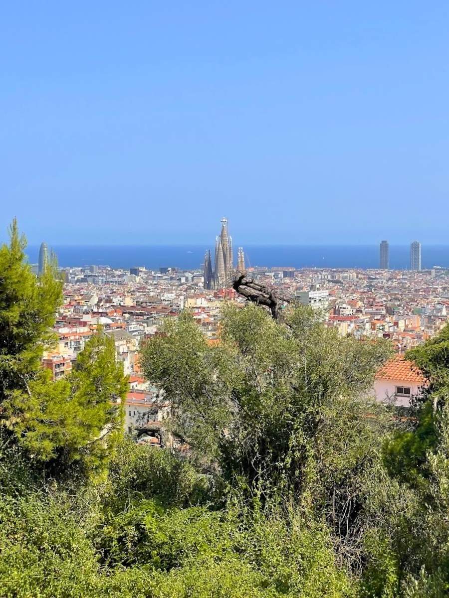 Panoramic view of Barcelona and the Sagrada Família from Park Güell with the Mediterranean Sea in the background
