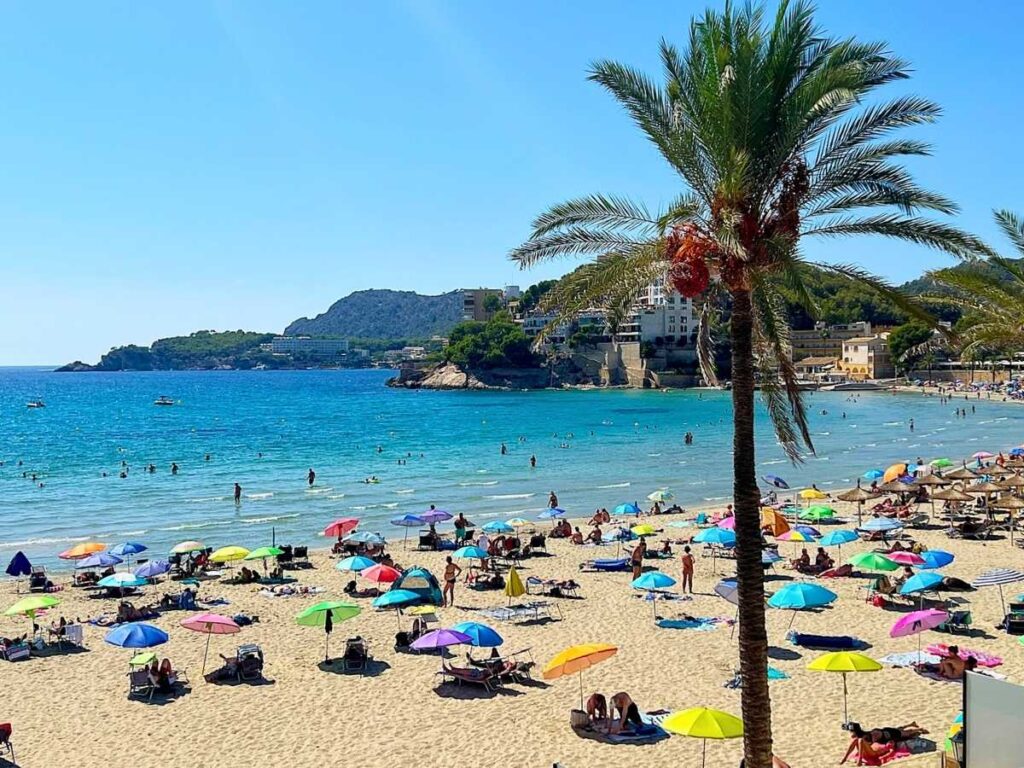 Beach in Mallorca with colorful umbrellas and sunbathers along the sandy shore beside clear turquoise water and a palm tree in the foreground