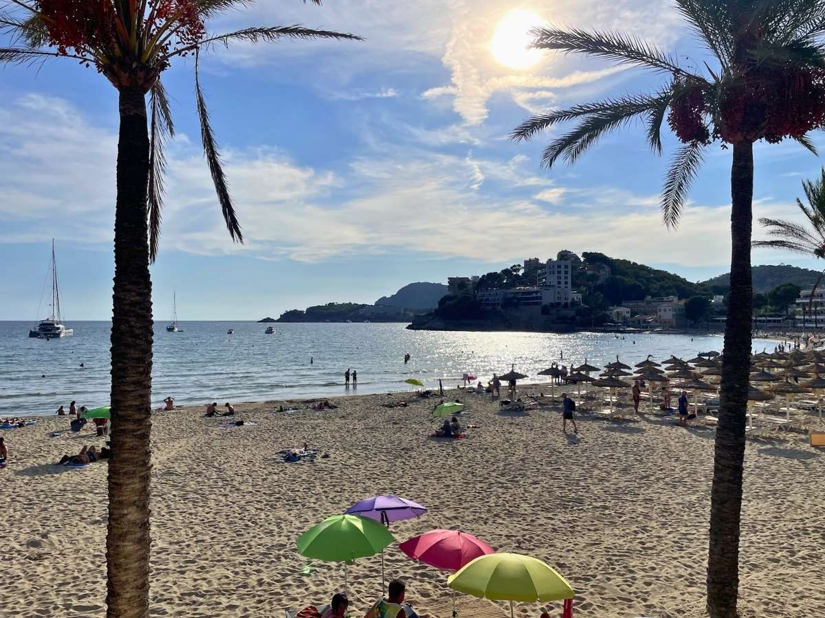 Paguera beach at sunset with golden light over the water palm trees framing the view and scattered umbrellas on the sand