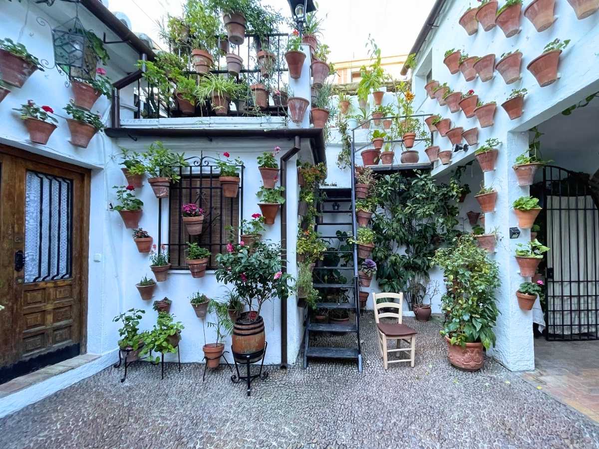 Traditional Cordoba Spain courtyard with whitewashed walls covered in terracotta flower pots a narrow staircase leading to a small balcony and lush green plants arranged around a cobblestone floor