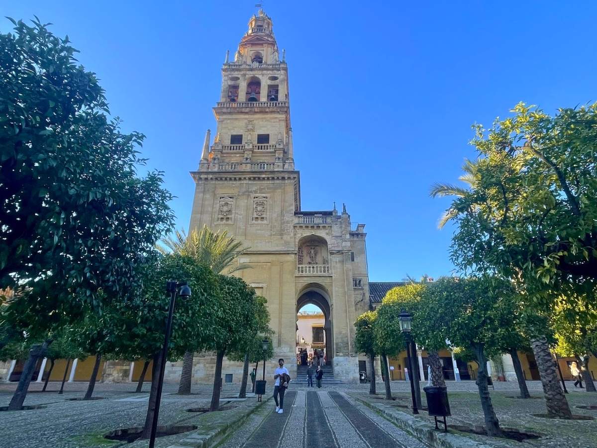 Bell tower of the Mosque Cathedral of Cordoba Spain rising above orange trees and a stone pathway in the courtyard