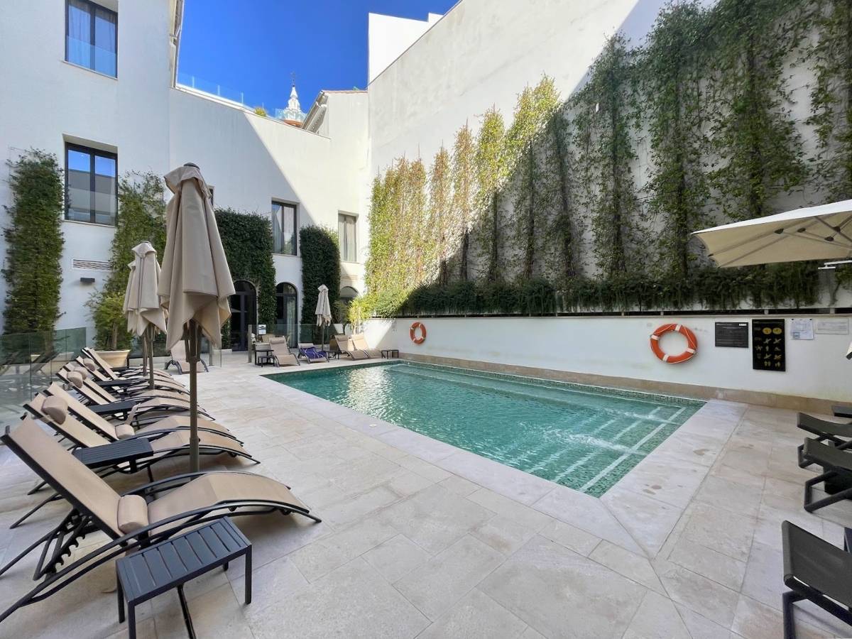 Outdoor pool terrace at H10 Palacio Colomera in Córdoba with lounge chairs umbrellas and a narrow swimming pool framed by ivy covered walls