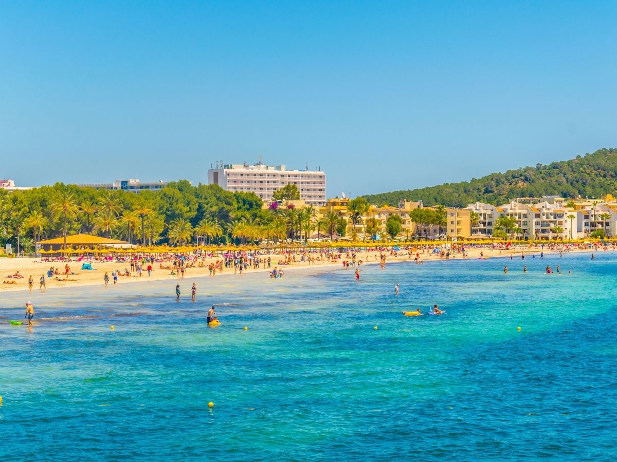 Playa de Muro beach with shallow turquoise water and families enjoying the calm shoreline