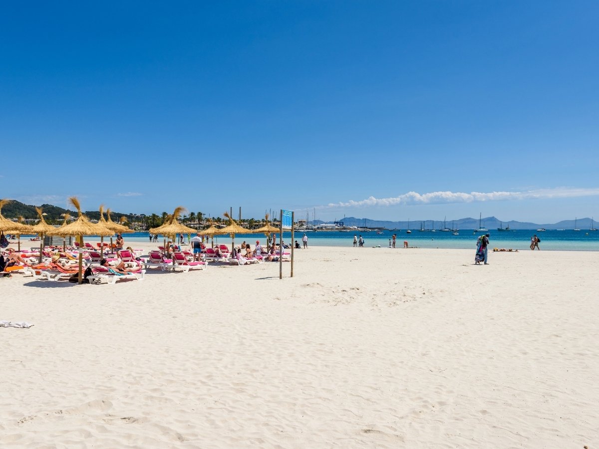 Sandy beach in Alcúdia with straw parasols sun loungers and calm turquoise water dotted with boats