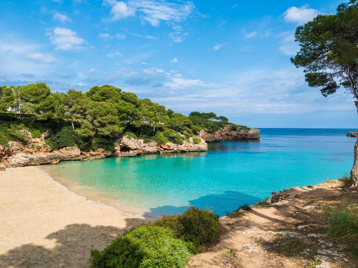 Cala d'Or in Mallorca with turquoise water a small sandy cove and rocky cliffs covered in pine trees