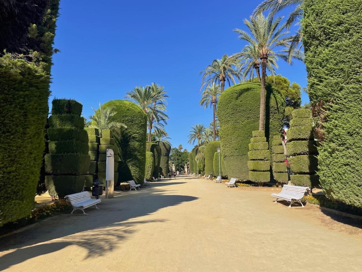 Palm trees and manicured gardens along a walkway in Parque Genovés in Cádiz