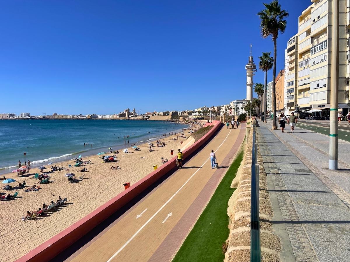 Playa de Santa María del Mar with a beachfront promenade, palm trees, and sandy beach in Cádiz