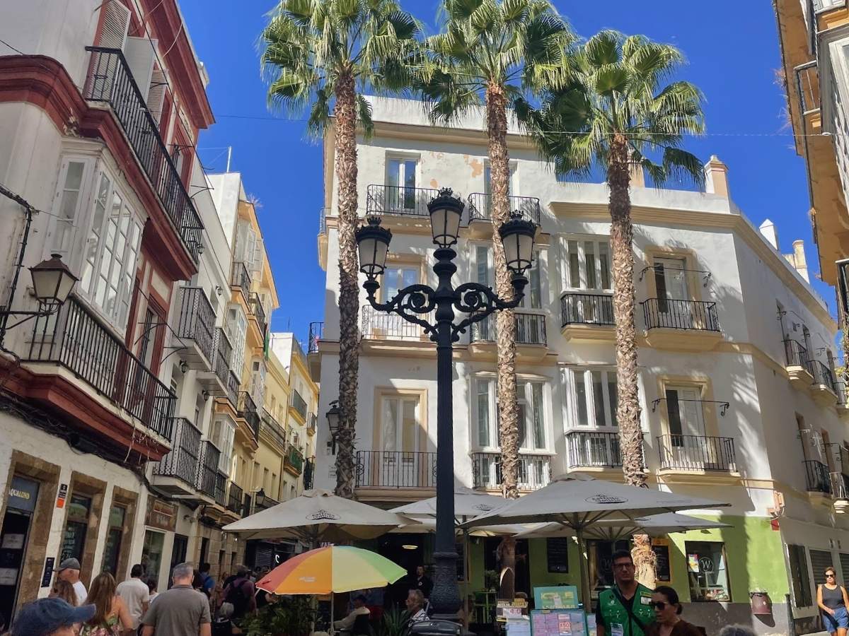 Palm trees, outdoor restaurants, and historic buildings along a street in Cádiz Old Town