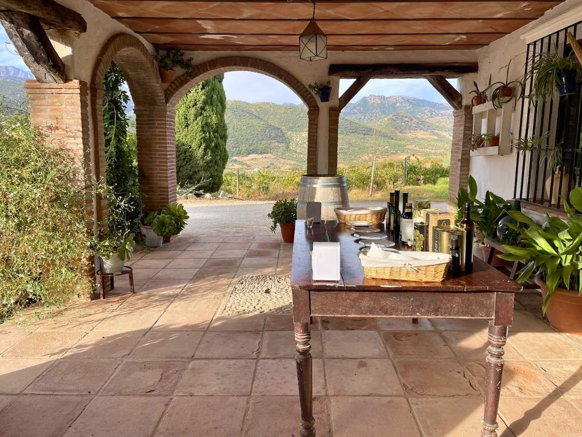 Olive oil tasting setup on a terrace overlooking the mountains near Ronda